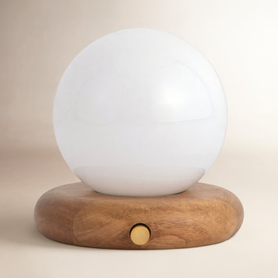 Reve Solid Wood Globe Lamp
