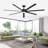 Aluminum Alloy Ceiling Fan With Light-1642040039