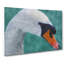 White Swan Vol.4 - Wrapped Canvas-61881250