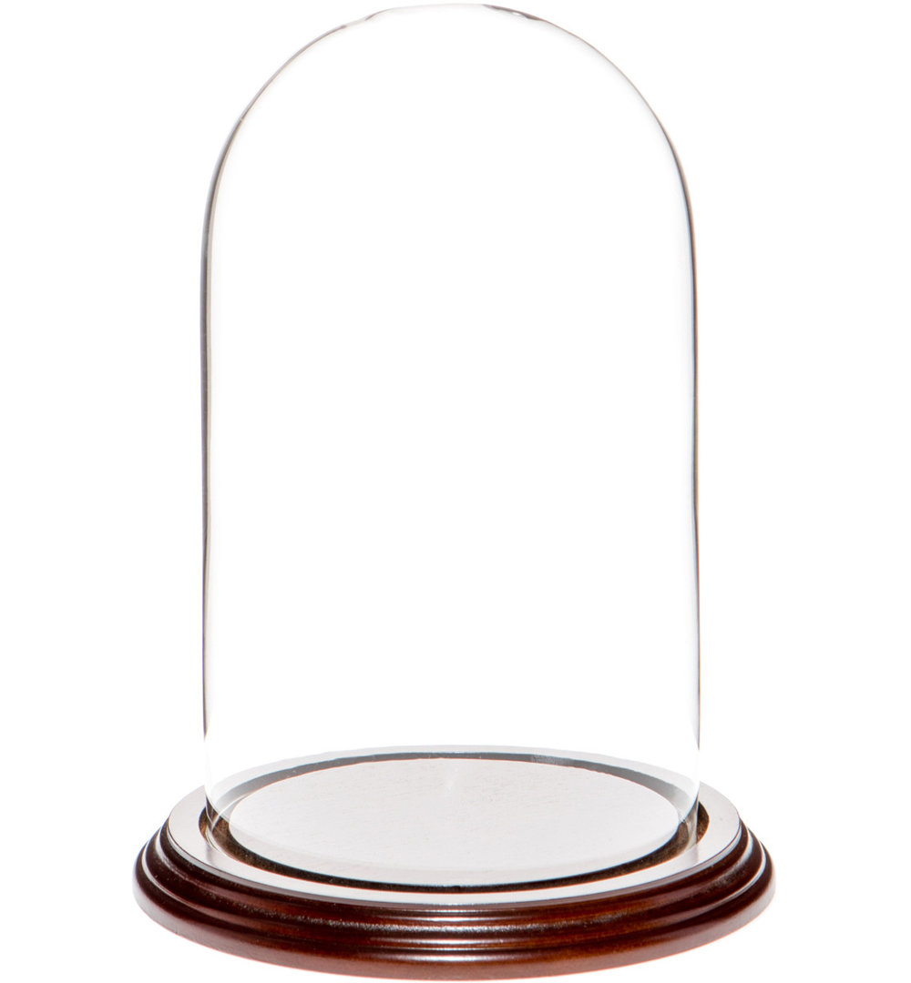 Vucciria 4.5" x 8" Glass Display Dome Cloche Ebern Designs