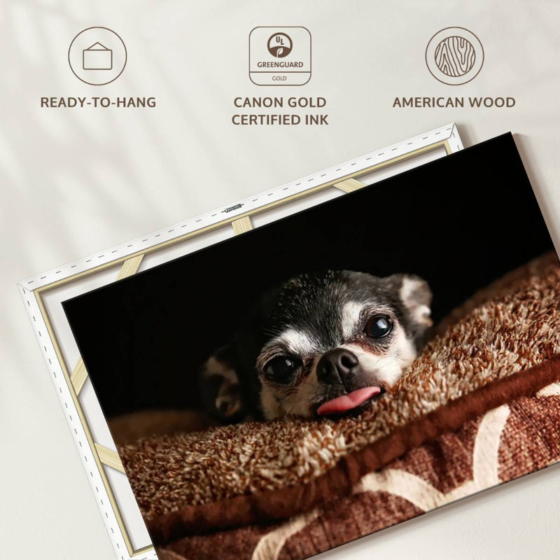 Brampt Playful Chihuahua, 24" H x 36" W