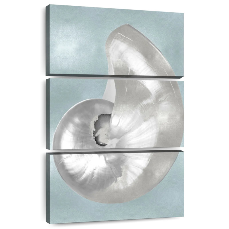 Silver shell on aqua blue i Aletra