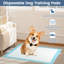 Coussins de dressage pour chien 36 po x 24 po (300 points)