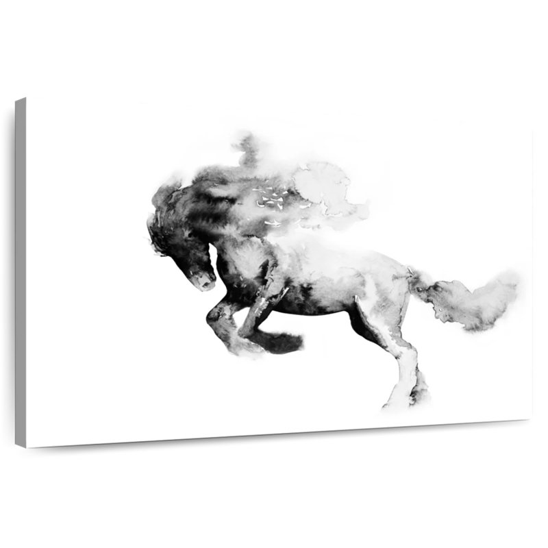 Brampt Black And White Horse