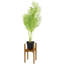 Horine Wood Plant Stand