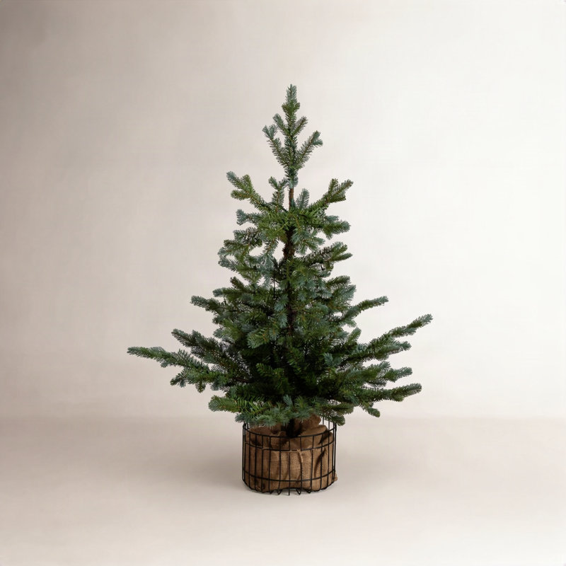 White 3' Pre-Lit Pine Christmas Tree