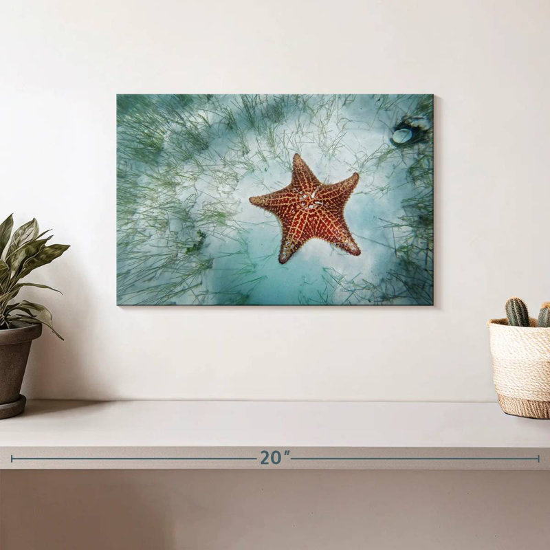 Shallows Starfish, 8" H x 12" W
