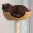 3 Tiers Cat Tree with Condons,Perch,Scratching Posts