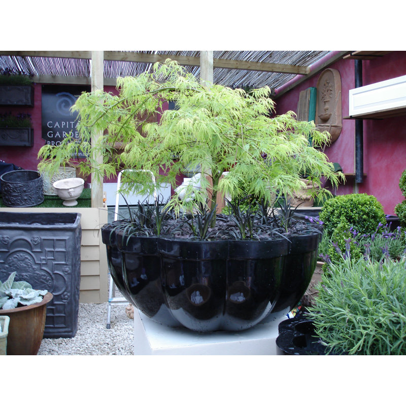 Handmade Pot Planter, Medium