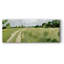 Meadow Trail I