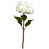 blanc est en rupture de stock