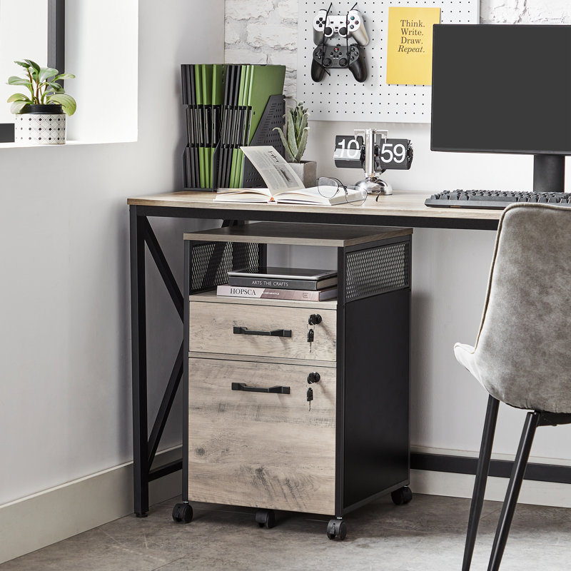 Alican 42cm Wide 2 -Drawer File Cabinet