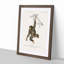 Chimpanzee by Charles D'Orbigny - Picture Frame Painting Print-55545868-55545871