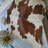 Brown And White Calf Hides