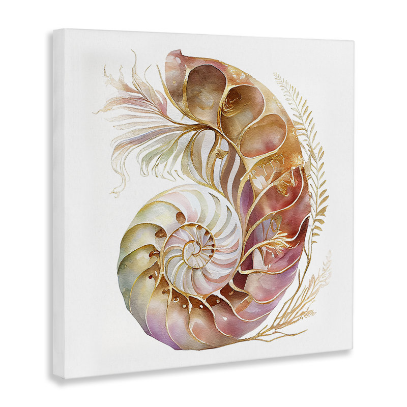 «Curled Nautilus» par Birch & Ink, H 24 po x l 24 po