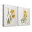 Ochre botanique I - ensemble de 2 reproductions d'art-450957364-450957519-451386744