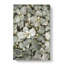 Plant Leaves Abstract - Wrapped Canvas-56658109