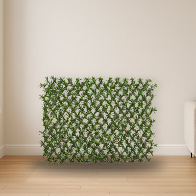 Podocarpus Expandable Fence