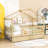 Kids with Drawers-650643201-650643203