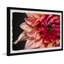 Diverse Dahlia - Single Picture Frame Painting-1784181373