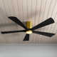 Irene 5 - Blade LED Ceiling Fan with Light Kit Included