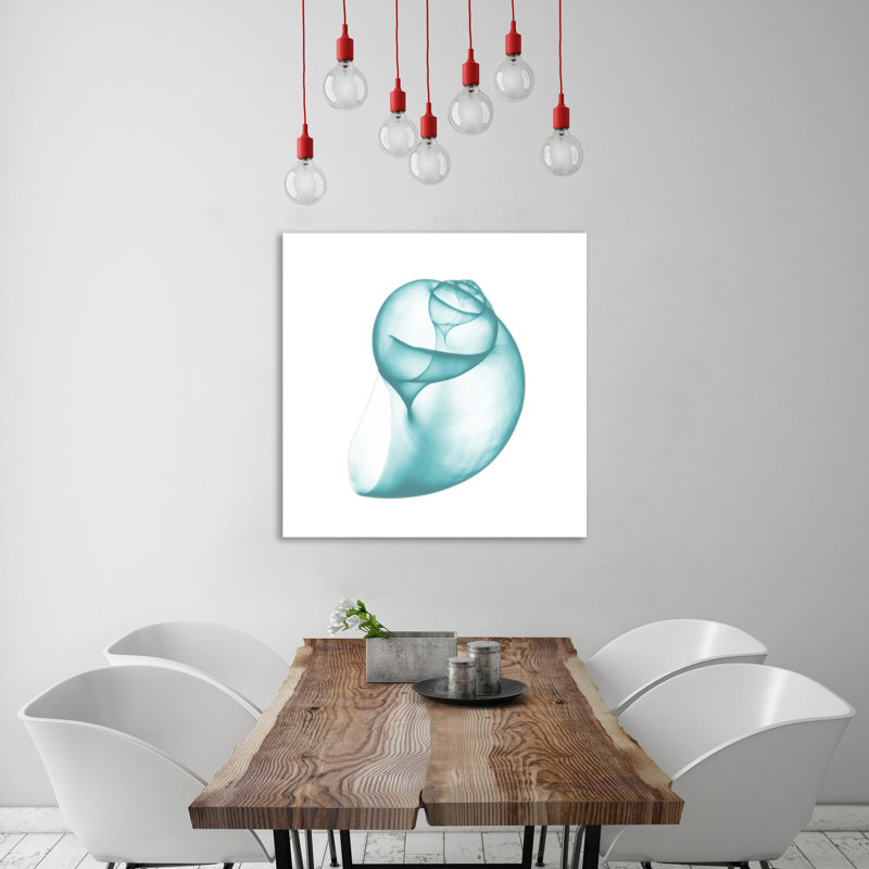 Turquoise Water Snails - Wrapped Canvas Print, 30cm H x 30cm W