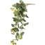Buisson suspendu floral vert et rouge 39,5 po 39 po