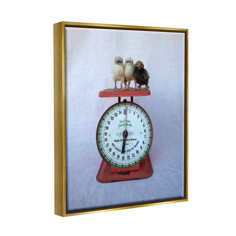 «Country Baby Chick Birds on Vintage Kitchen Scale» par Tania Soderman - photographie à cadre flottant sur toile