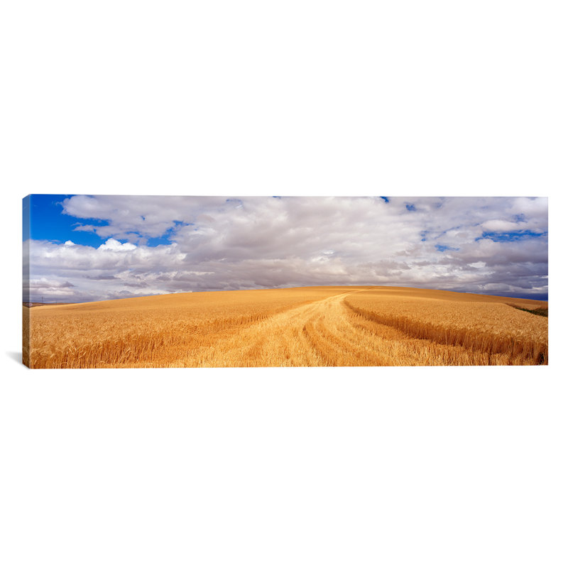 Reproduction de photo sur toile tendue champ de blé panoramic washington, H 24 po x l 72 po x P 1,5 po