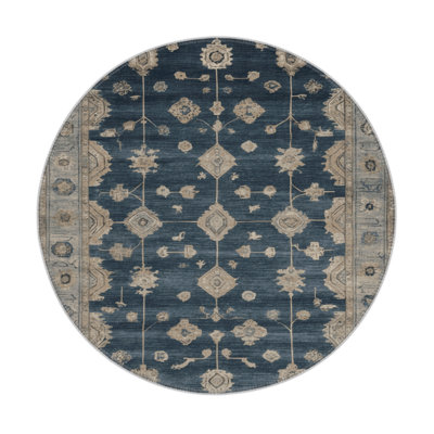 Overdyed Gray Indoor and Outdoor Area Rug