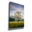 «Spring Glow In Cades Cove» par Rick Berk, art mural sur toile-61428198