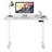 Cloverly Adjustable Metal Base Standing Desk-2008798475