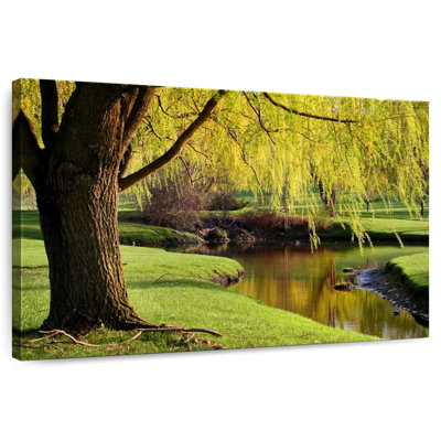Willow Trees In Michigan Park