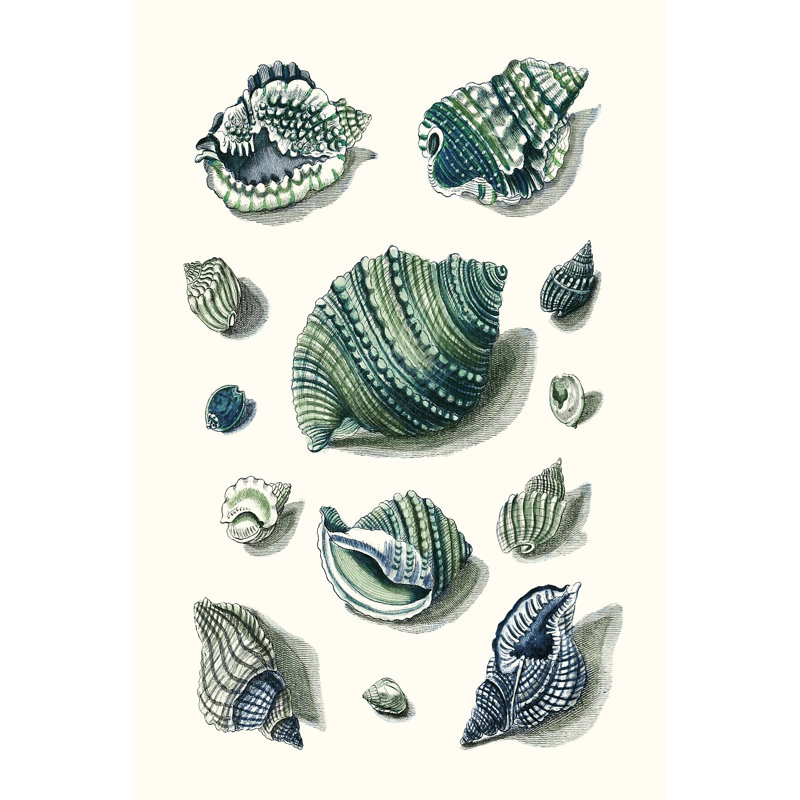 Celadon Shells II - Painting on Canvas, 122 cm H x 81 cm W, Black Floater Frame