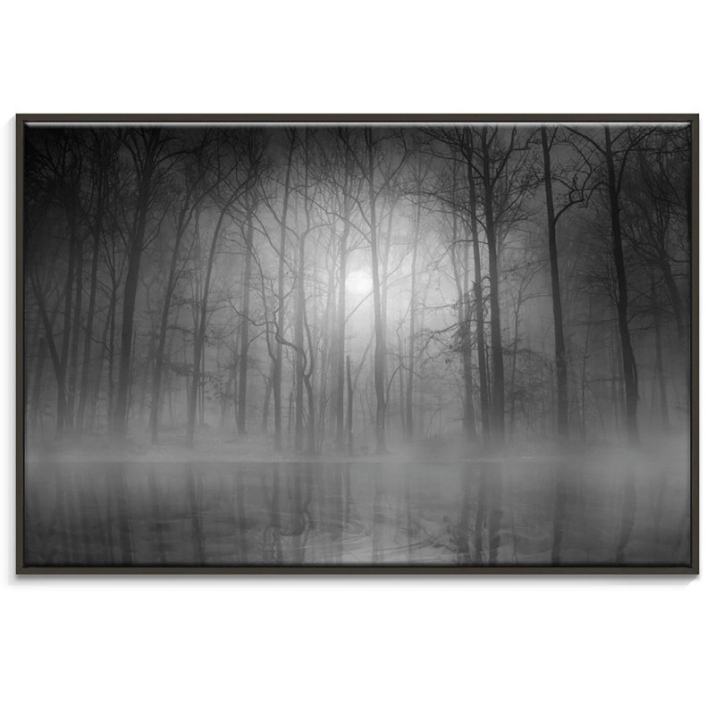 Print on Canvas, 102cm H x 152cm W , Black Floater Frame