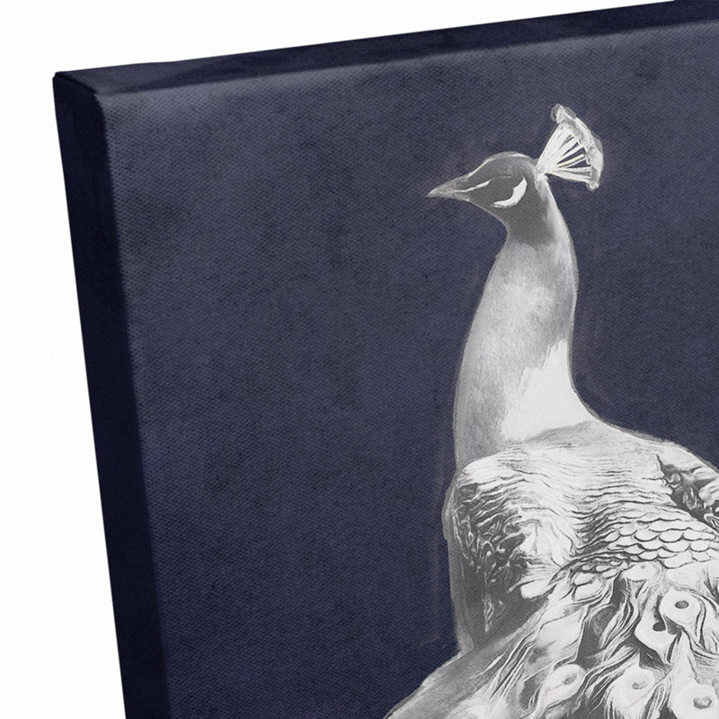 " Glorious White Peacock "