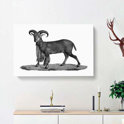 Goat Illustration - Wrapped Canvas Drawing - Wrapped Canvas