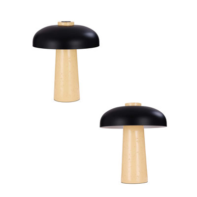 Resin Table Lamp
