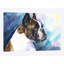 Impression sur toile boxer-32498553-72131354-72131355
