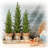 Ensemble de 3 pins artificiels en pot
