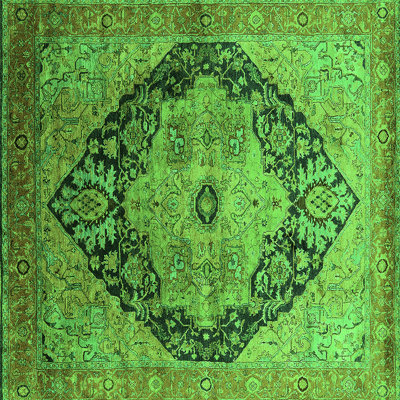 Washable Oriental Indoor Rug