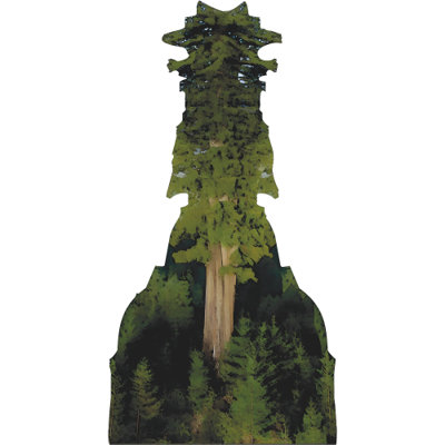 H13636 Hyperion Sequoia Worlds Tallest Tree Redwood California Cardboard Cutout Standee Standup