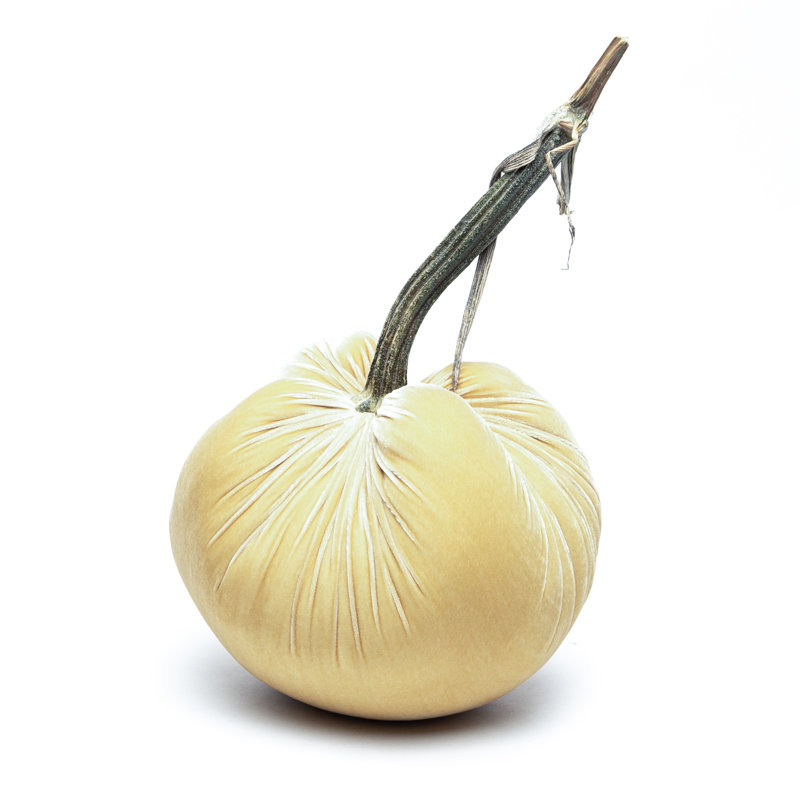 Husk Silk Velvet Pumpkin, 10'' H X 8'' W X 8'' D