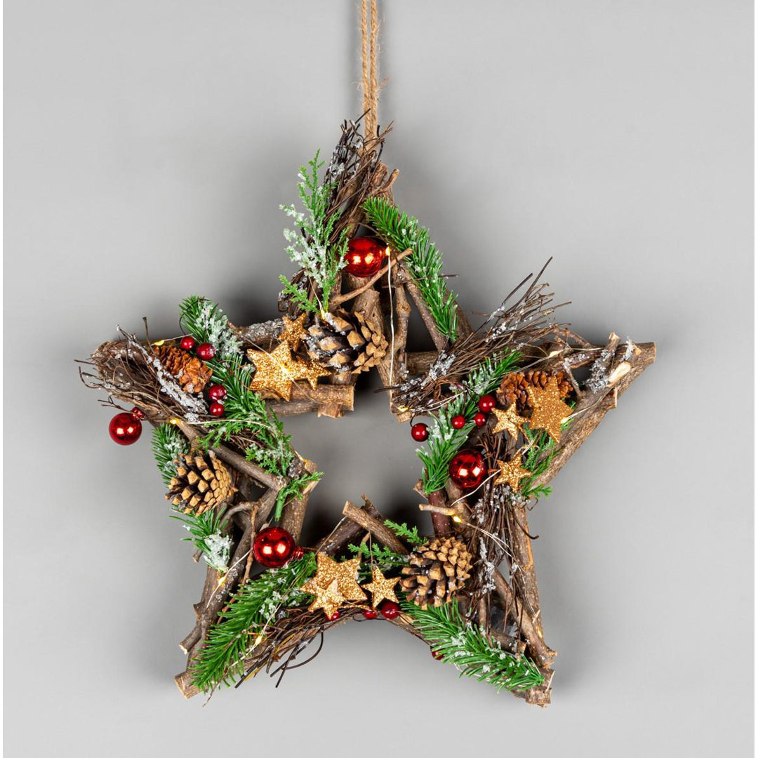 231183-LED-TWIG-STAR-RD-35CM