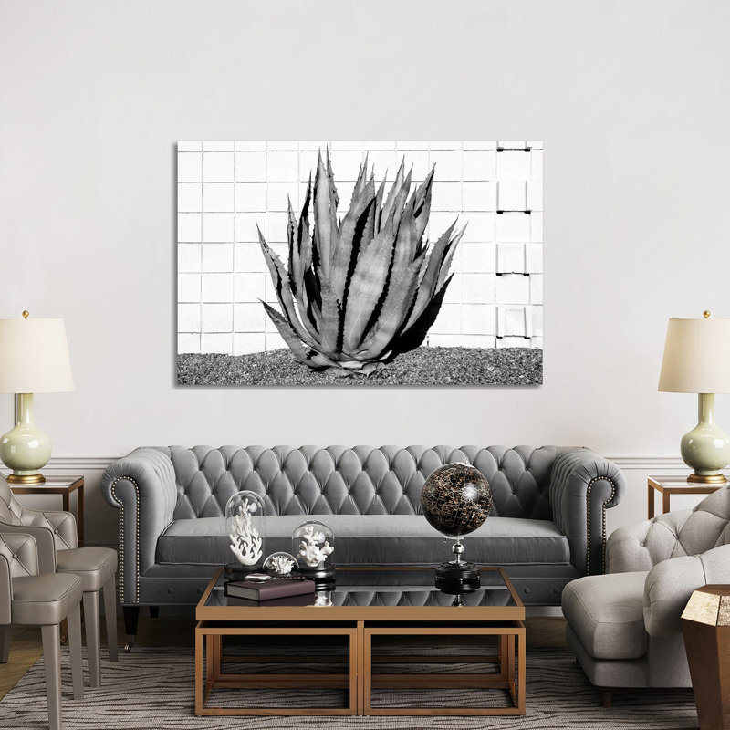 Agave by Philippe Hugonnard - Wrapped Canvas Print, 152.5 cm H x 101.5 cm W