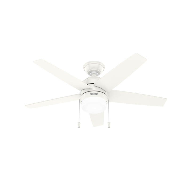 44" Bardot 5 - Blade Ceiling Fan With Lights and Pull Chains, White