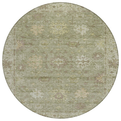 Machine Washable Indoor/Outdoor Xhevrie Sage Rug
