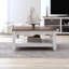 Weddel Basilico Coffee Table with Storage-2133429502