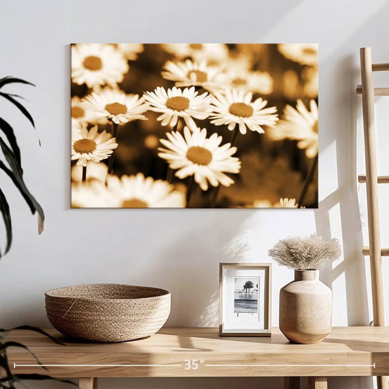 Harnek Sepia Colored Daisies, 30" H x 45" W