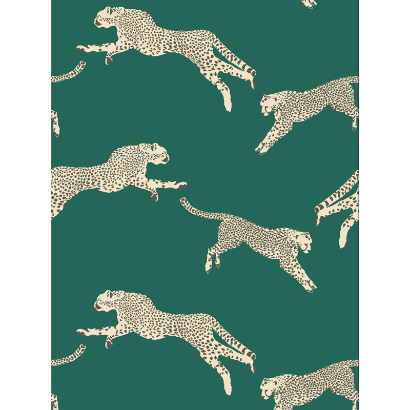 COUVERTURE DE FLEUR DE PASSE, Evergreen